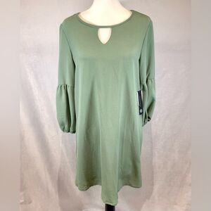 Sage green lantern sleeve shift dress size small NWT